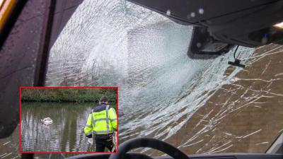 Stoere zwaan lijkt ongedeerd na klap tegen voorruit bestelauto